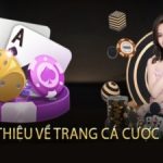 K9win – Nhà cái hàng đầu có dịch vụ bảo mật tiên tiến bậc nhất